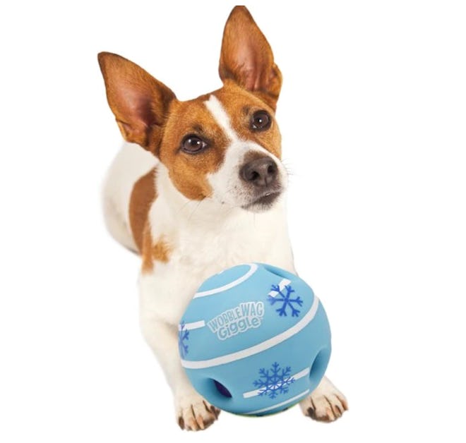 Wobble Wag Giggle Dog Toy