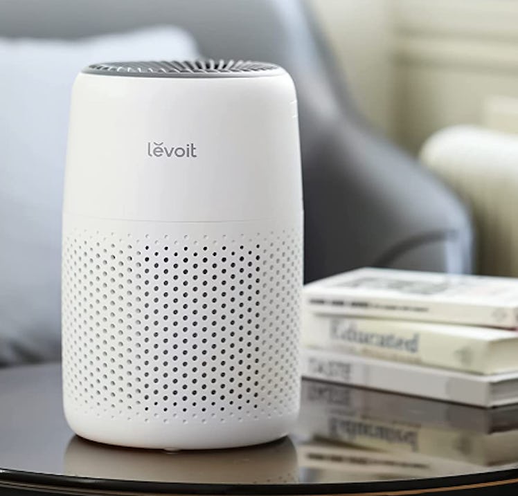 LEVOIT Home Air Purifier