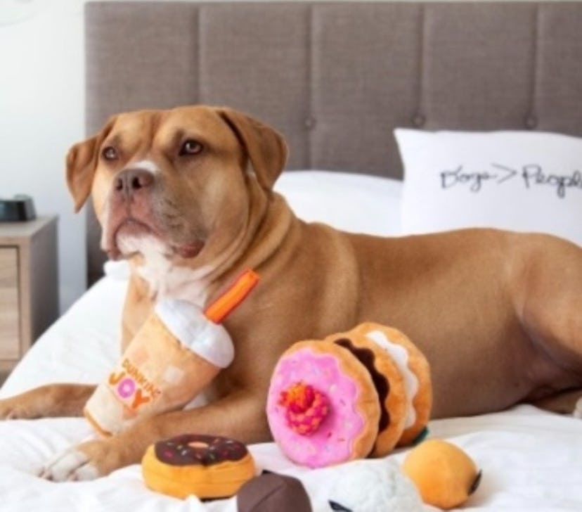 Bark’s Dunkin’ dog toys smell like donuts.