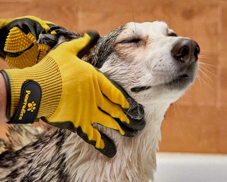 Pawradise Pet Grooming and Bathing Gloves