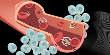 An illustration of the magnetic bacteria cancer treatment.