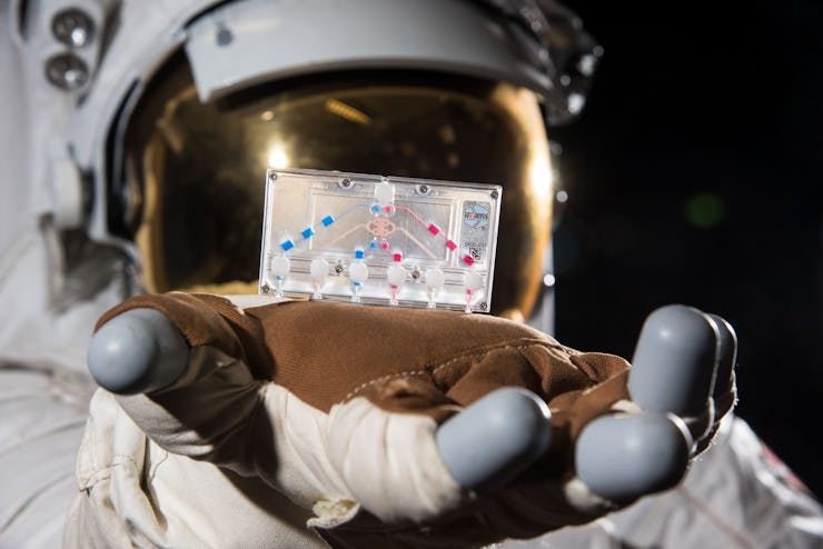 An astronaut holds a chip with human cells.
