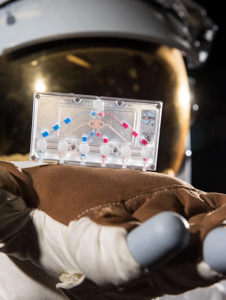An astronaut holds a chip with human cells.