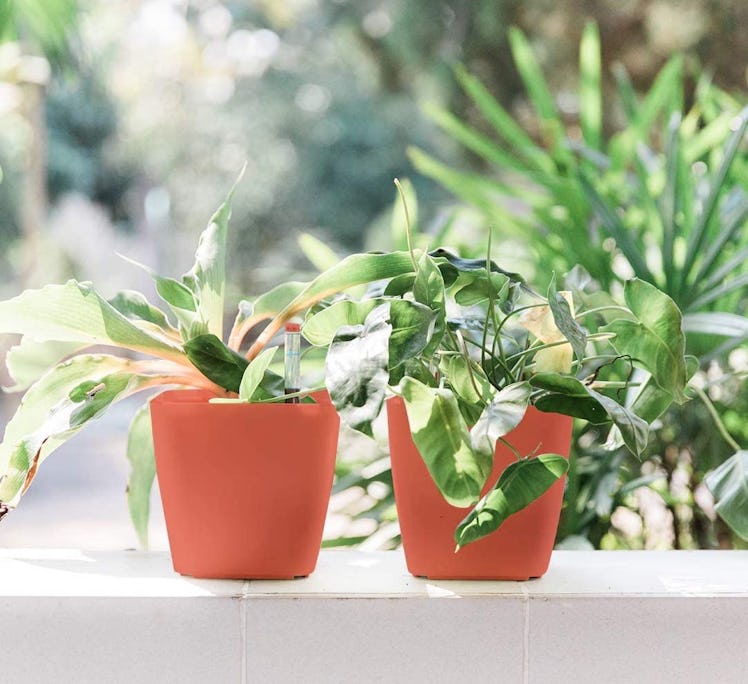 Gardenix Decor Self-Watering Pots (2-Pack)