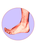 A man's foot.