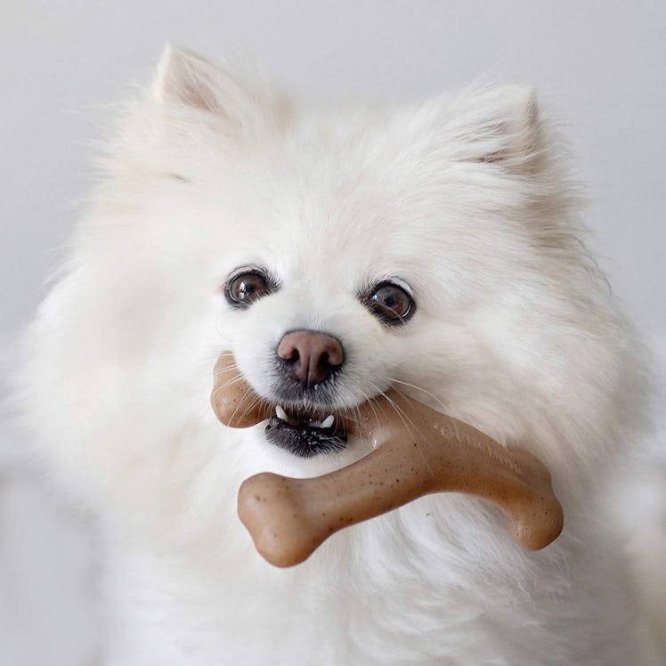 Benebone Wish Bone Dog Toy