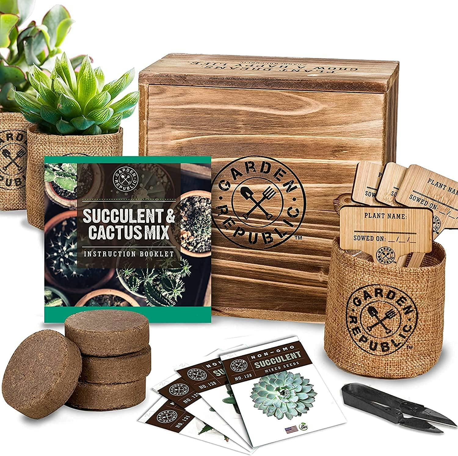 GARDEN REPUBLIC Cactus Succulent Seed Starter Kit