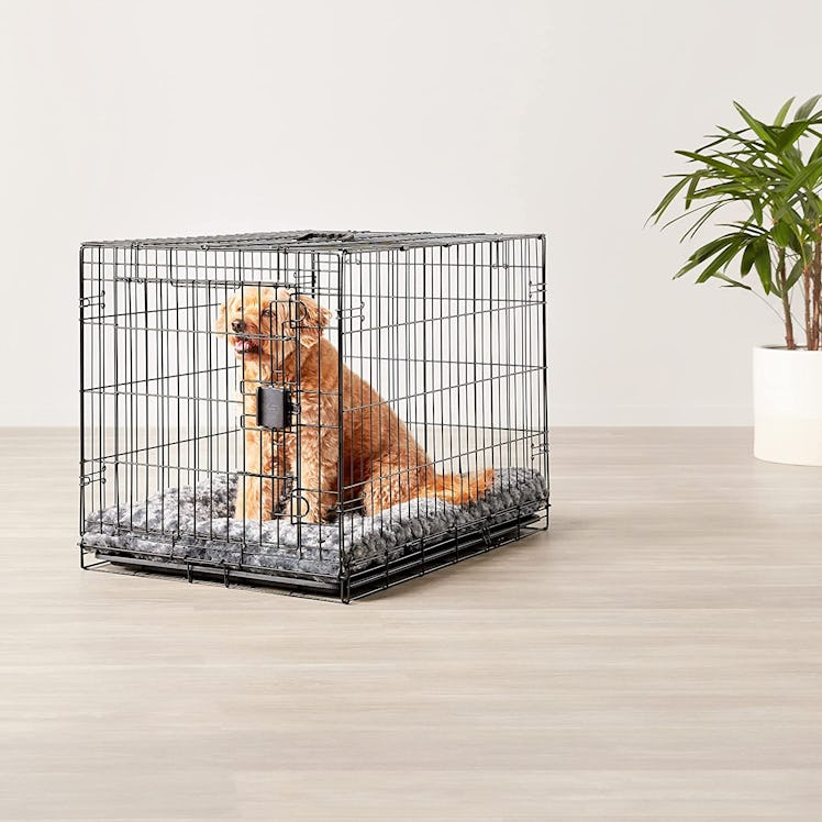Amazon Basics Foldable Metal Dog Crate