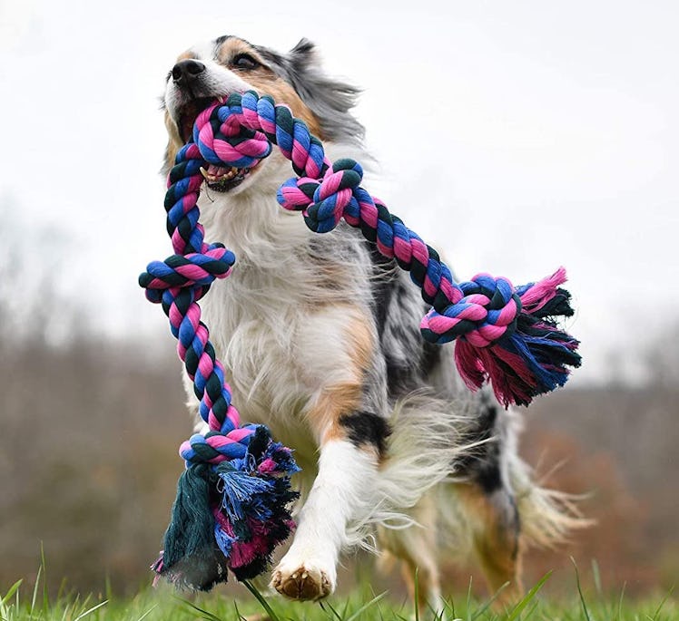 Mammoth Flossy Chews Tug Toy