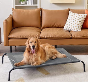 Bedsure Elevated Dog Bed