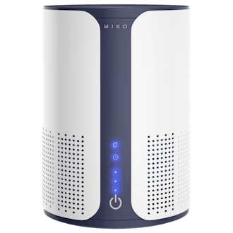 Home Air Purifier with True HEPA Filter