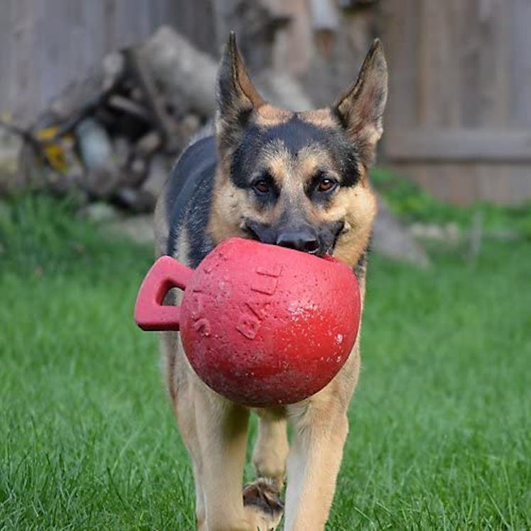 Jolly Pets Tug-N-Toss Dog Toy