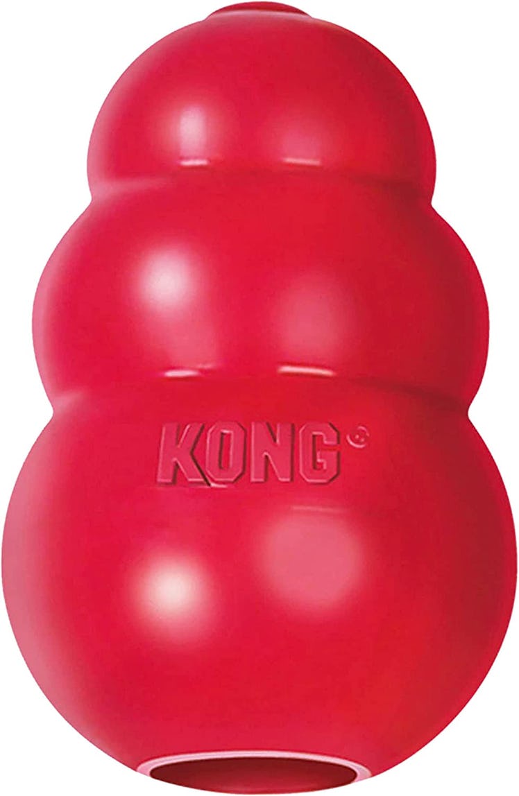 KONG Classic Dog Toy