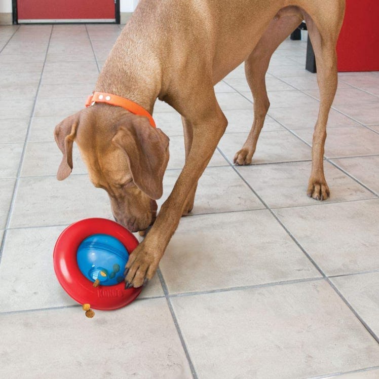 KONG Gyro Interactive Treat-Dispensing Toy