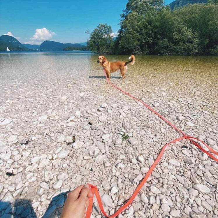 Nimble Waterproof Long Leash