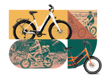 Fun bikes top for adults