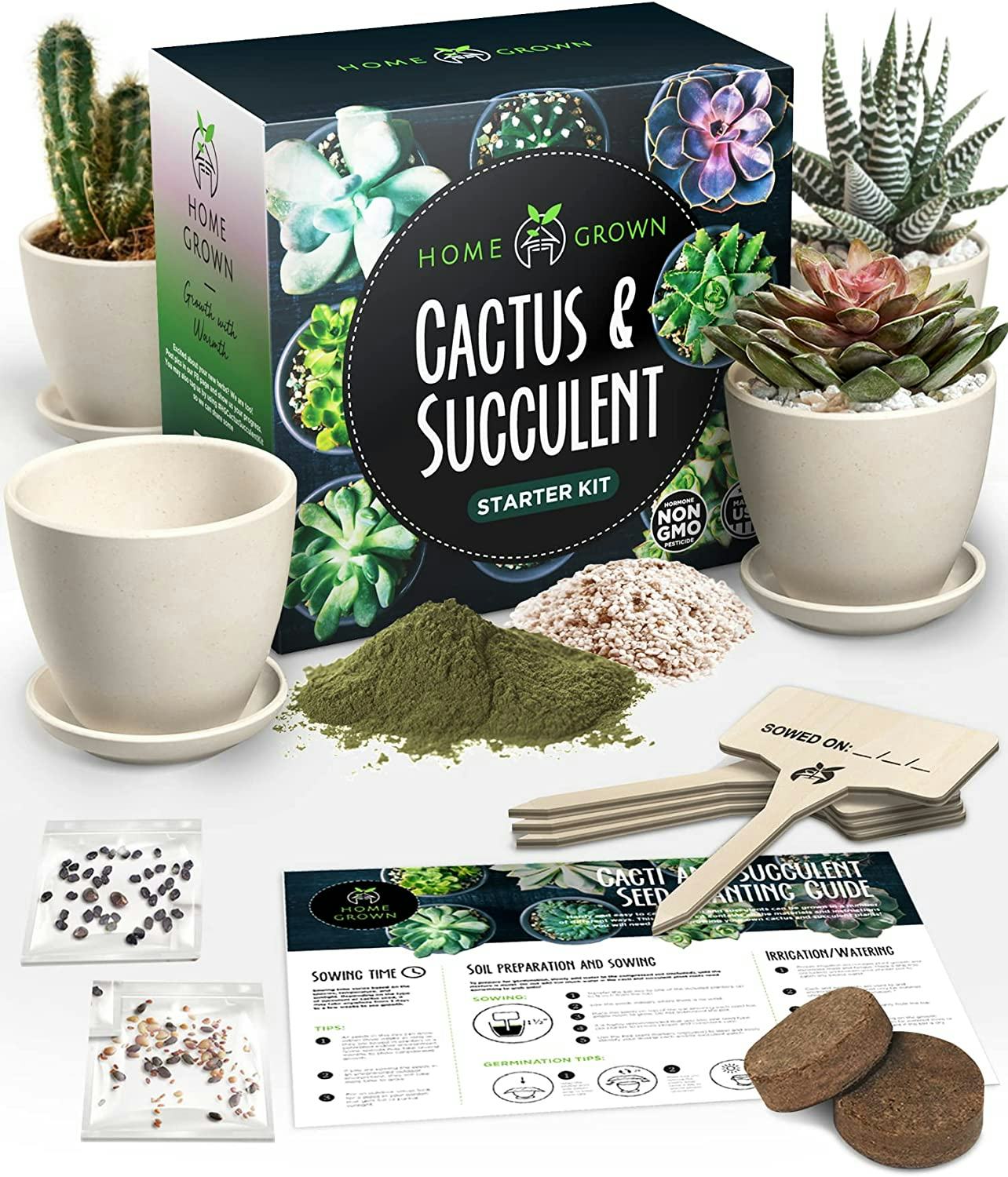 Home Grown Succulent &amp; Cactus Seed Kit for Planting