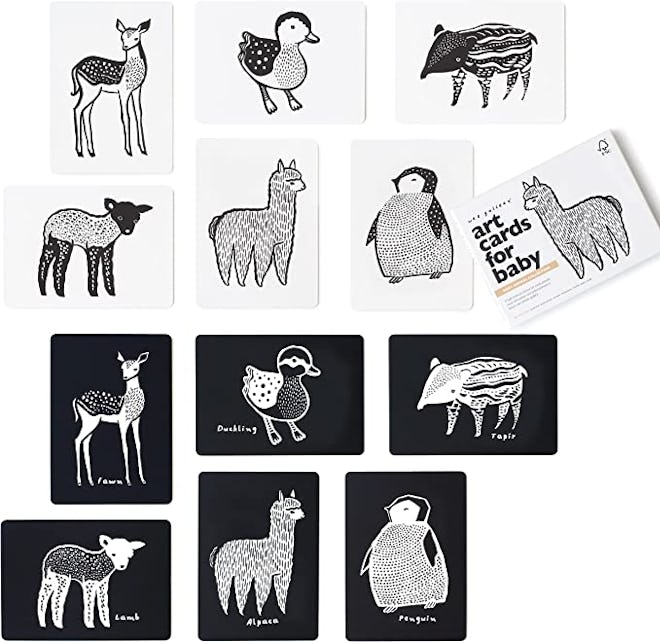 Wee Gallery Black and White Art Flash Cards for Babies