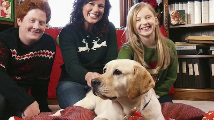 Watch The Dog Who Saved Christmas on Amazon Prime. 