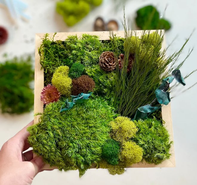 Make Your Own Moss Art