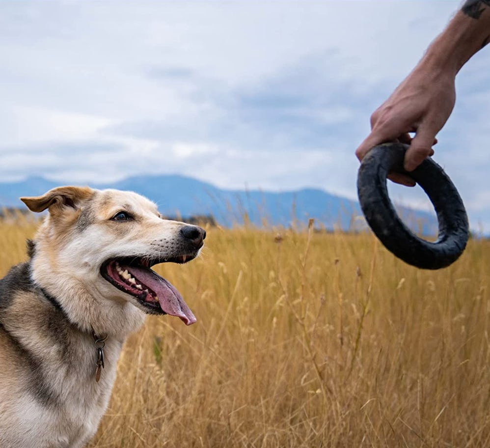 Monster K9 Dog Toys Ultra Durable ChewRing