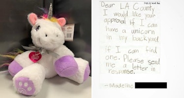 LA department of animal control approves unicorn license