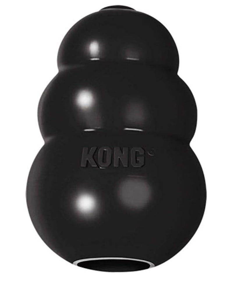 KONG - Extreme Dog Toy