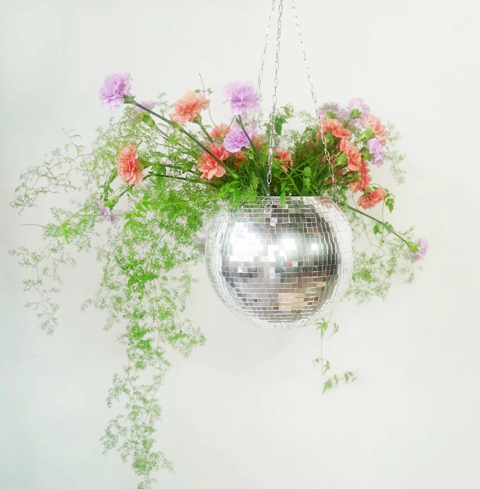 Dado Disco Plant Hanger