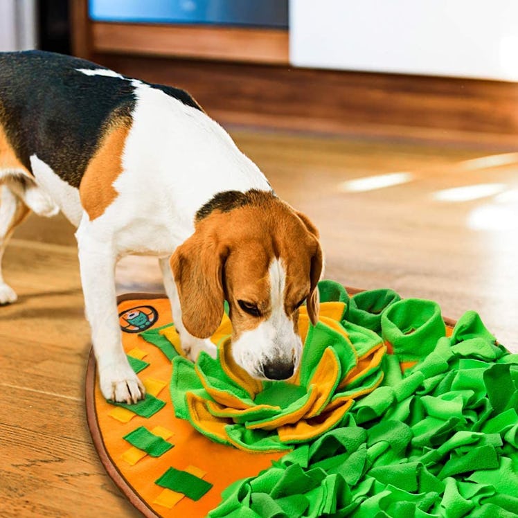 AWOOF Snuffle Nosework Dog Feeding Mat