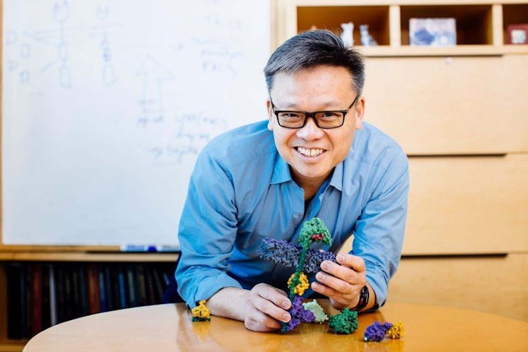 An image of study author Wendell Lim with a cellular model.