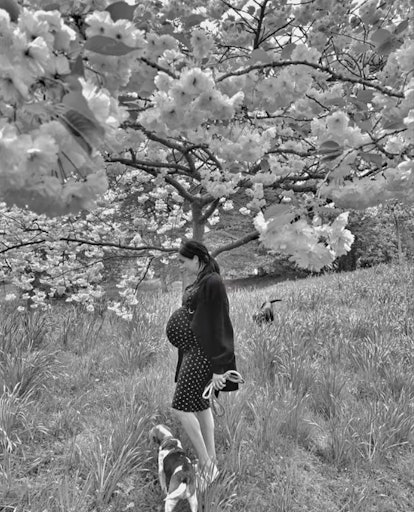 A photo of a pregnant Meghan Markle surrounded by blooming trees and her dog.