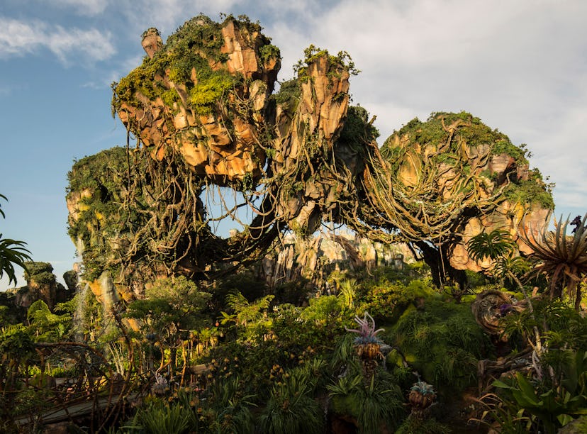 Disney's Pandora — World of Avatar was inspired by real locations in New Zealand and Hawaii. 