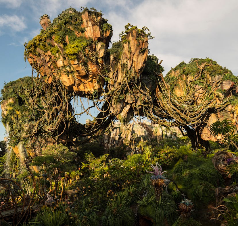 Disney's Pandora — World of Avatar was inspired by real locations in New Zealand and Hawaii.