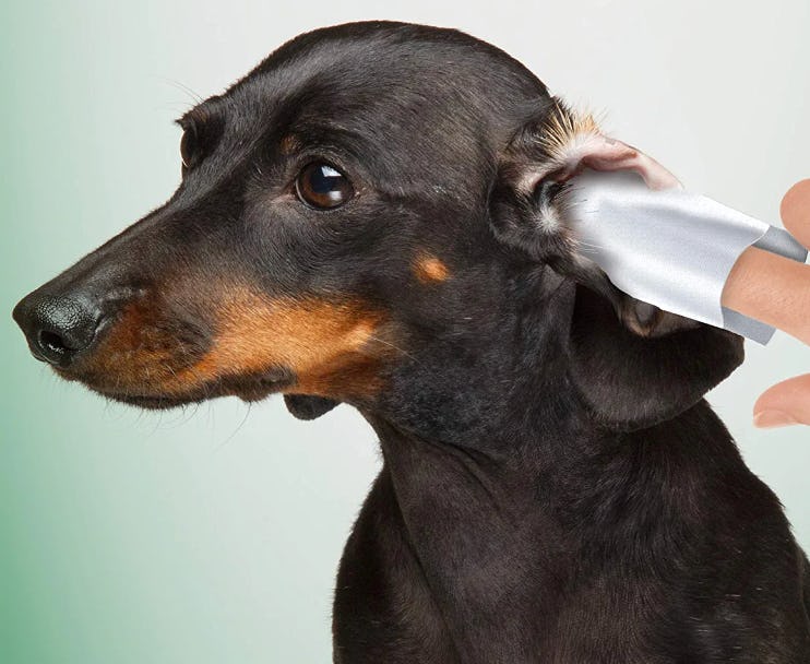 Vet&rsquo;s Best Ear Relief Finger Wipes (50-Pack)