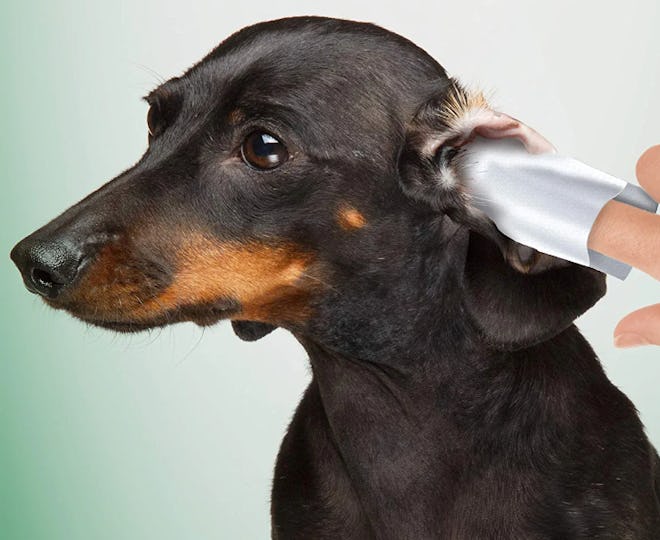 Vet’s Best Ear Relief Finger Wipes (50-Pack)