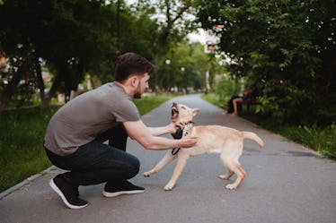 一名男子试图抚摸一只向他咆哮并露出牙齿的狗。