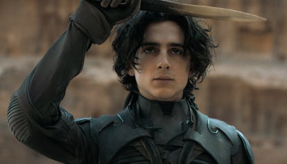 Timothee Chalamet in Dune