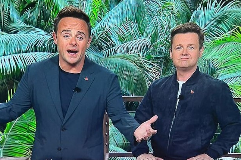 'I'm A Celebrity' presenters Ant and Dec featured in the reunion episode
