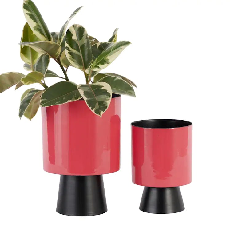 This planter set is home decor inspired by Pantone's Color of The Year 2023, Viva Magenta. 