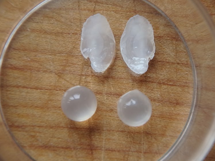 Fish otoliths (above) and eye lenses (below) reveal complementary information about the fish life hi...