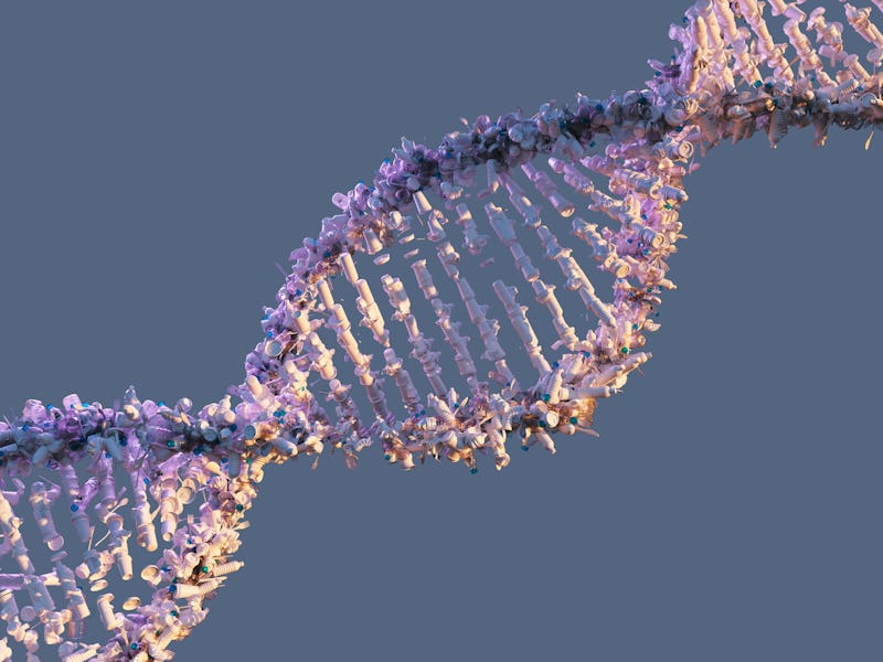 As in the rest of our bodies, there are genetic variations to 5-HT2A receptors, the receptors to whi...