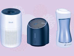 The 5 Best Air Purifiers For Dorm Rooms