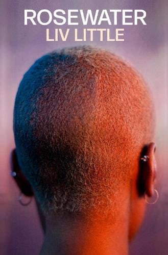 &lsquo;Rosewater&rsquo; by Liv Little