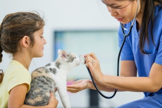How often you take your cat to the vet can depend on many factors, but veterinarians recommend at le...