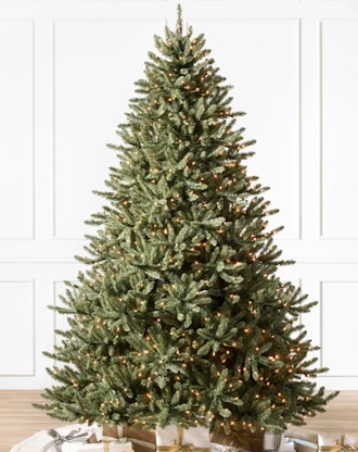 Classic Blue Spruce®