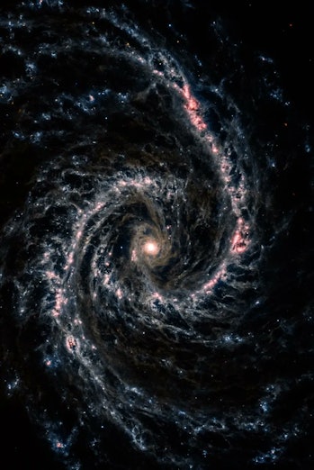 color image of a skeletal spiral structure on a black background