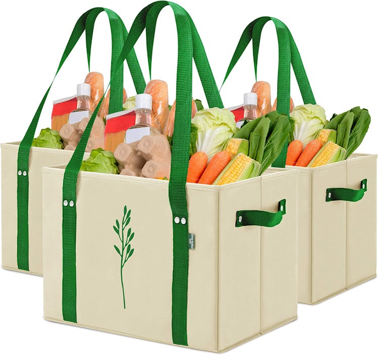 Green Bulldog Reusable Grocery Bags (Set Of 3)