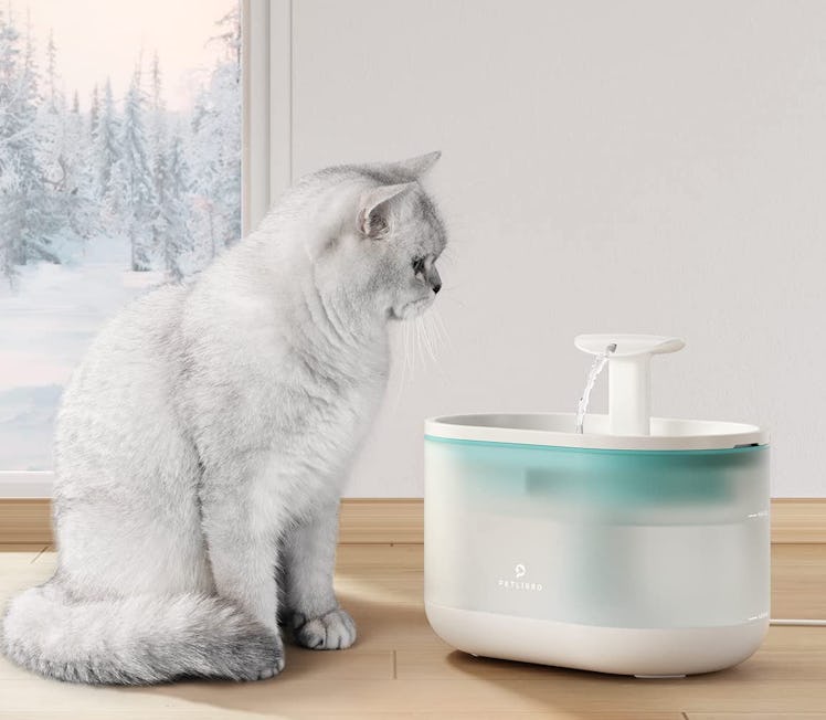 PETLIBRO Cat Water Fountain 