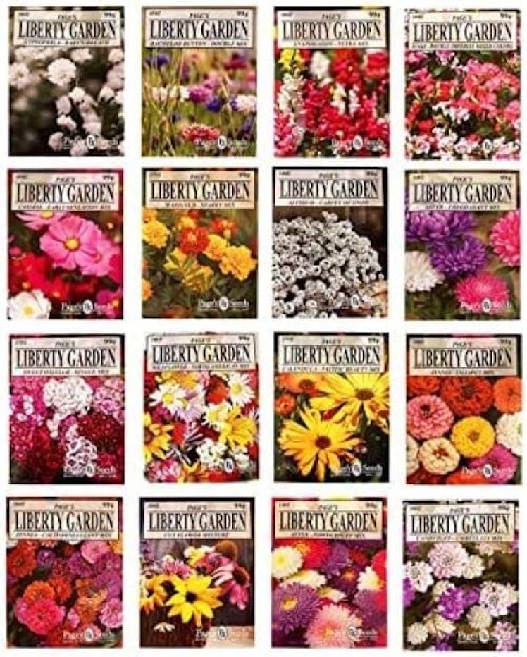 Valley Greene Heirloom Flower Seeds (Set of 16)