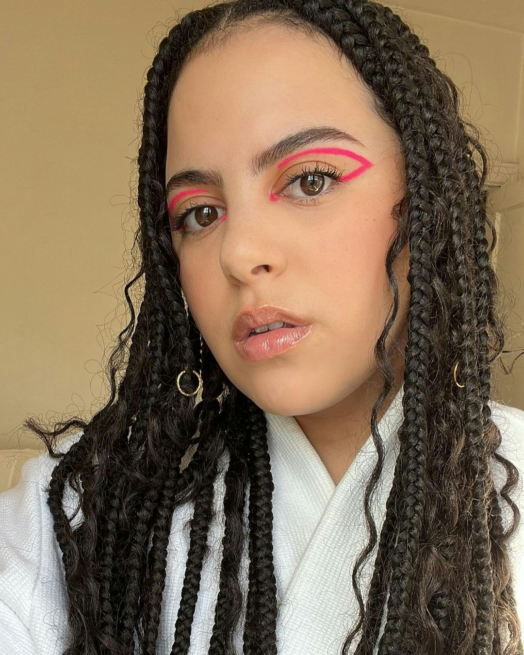 40 Stunning Box Braid Hairstyles To Try This Year  Social Beauty Club